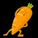 一只胡萝卜🥕