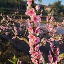 凌秀梅15082120530