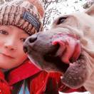 三鹿良心奶的头像-博士钣金 - www.bsbanjin.com