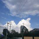 ㅤㅤㅤㅤㅤㅤㅤ ㅤㅤㅤㅤㅤㅤㅤㅤ