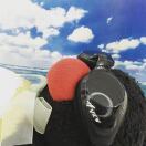 Usavich的头像-Studio Mars.AI