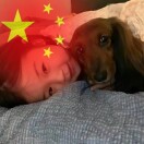 用户头标