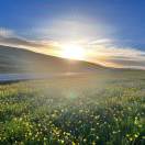 ㅤㅤㅤㅤㅤㅤㅤㅤ