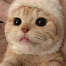 dawn的头像-梦马考研