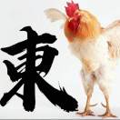 东🐔哥的头像选优云网创选优云网创
