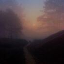 The Journal转租&房东直租