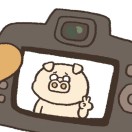 user icon