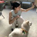 爱吃香菜