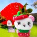 袁怡佳