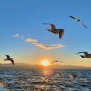 麦锡金属-博士钣金 - www.bsbanjin.com