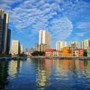 Eric Ling的头像-熵减岛