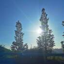 u客直谈实名认证杨先生