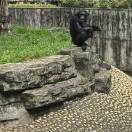 Feng@的头像-博士钣金 - www.bsbanjin.com