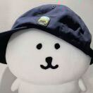 555hui的头像 - 腾飞博客