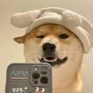 风凌