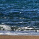 Helix Ellipse转租&房东直租