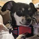 Deakins Place转租&房东直租