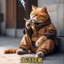 wx_随遇而安45