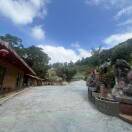 杨妃（藤园）