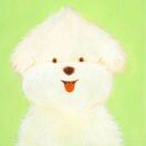 llll的头像-博士钣金 - www.bsbanjin.com