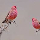 秋天為誰(shuí)憂(yōu)?