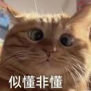 想锅锅