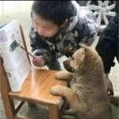 傦籽裡魡驕謸、