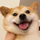 用户10832264的头像 