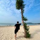 牛奶、奥利奥别泡