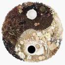 xiangan的头像-小哥网