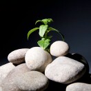 向前看！的头像-博士钣金 - www.bsbanjin.com