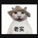 泥霉串苦孜的头像-秀琴曲谱网