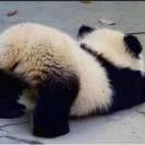 王惠