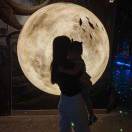 用户65405866的头像-博士钣金 - www.bsbanjin.com