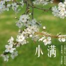 小满1365590138