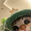 youyu