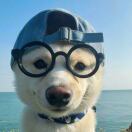 Sir Charles Groves Hall转租&房东直租