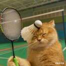 u客直谈实名认证陈海康