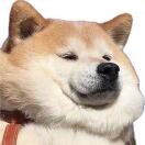 Stanley Studios转租&房东直租