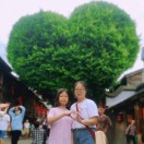 罗婷