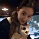 布里斯托求租