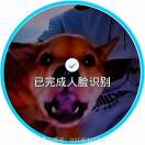 user_di3fr2y8scmzsk0p member profile picture
