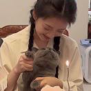 伦敦求租