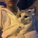 杨先生的头像