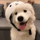 Elaine.的头像 - 校园论坛