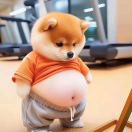 小杜小杜