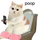 卢唯