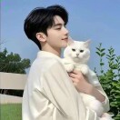 un3333的头像-798资源站