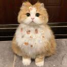 iQ Grove转租&房东直租