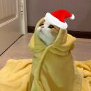 iQ Grove转租&房东直租